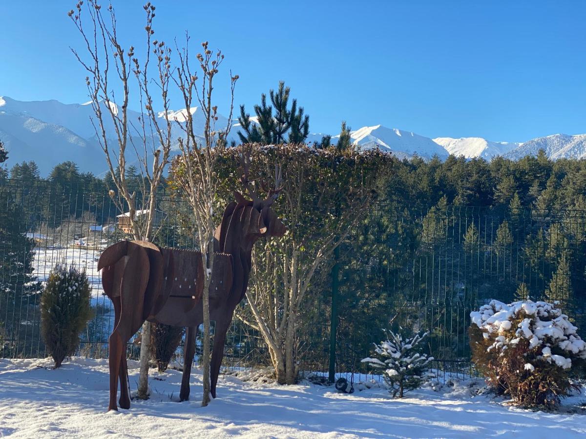 Katarino Spa Chalet Razlog Eksteriør billede