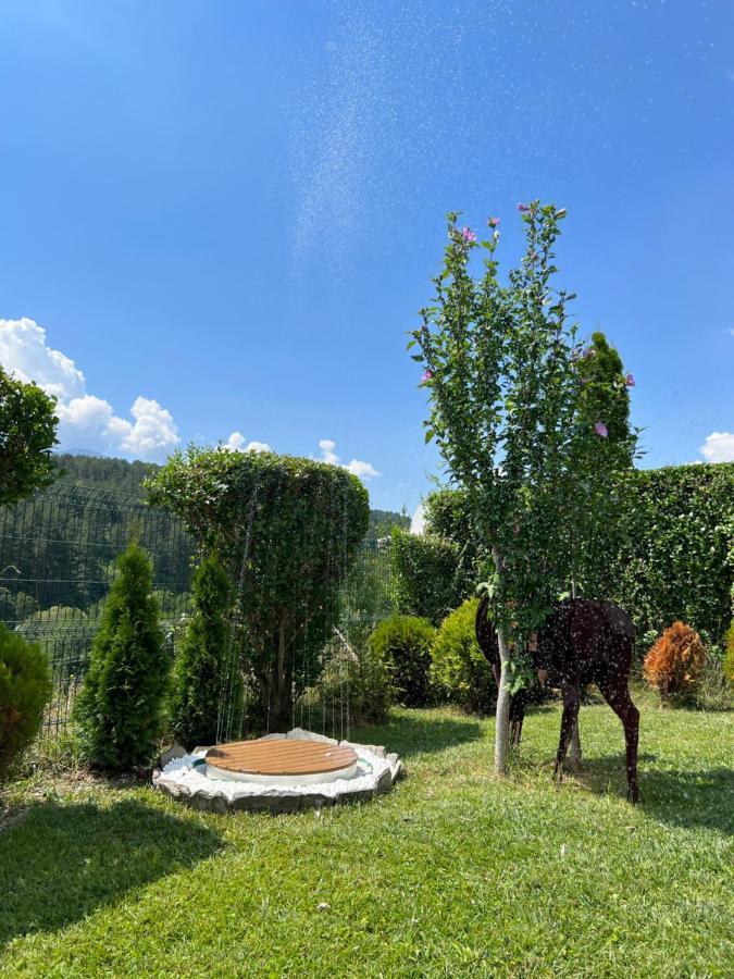 Katarino Spa Chalet Razlog Eksteriør billede
